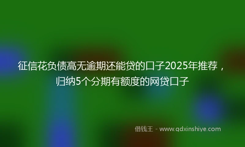 征信花负债高无逾期还能贷的口子2025年推荐，归纳5个分期有额度的网贷口子