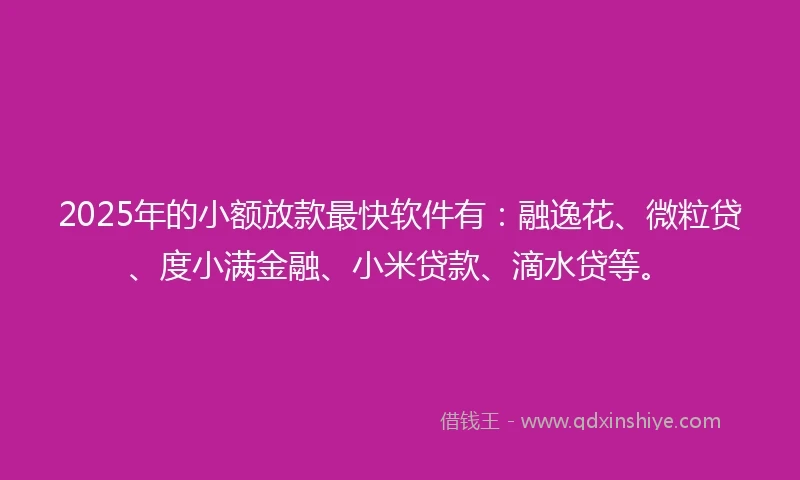 2025年的小额放款最快软件有：融逸花、微粒贷、度小满金融、小米贷款、滴水贷等。