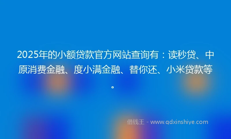 2025年的小额贷款官方网站查询有：读秒贷、中原消费金融、度小满金融、替你还、小米贷款等。