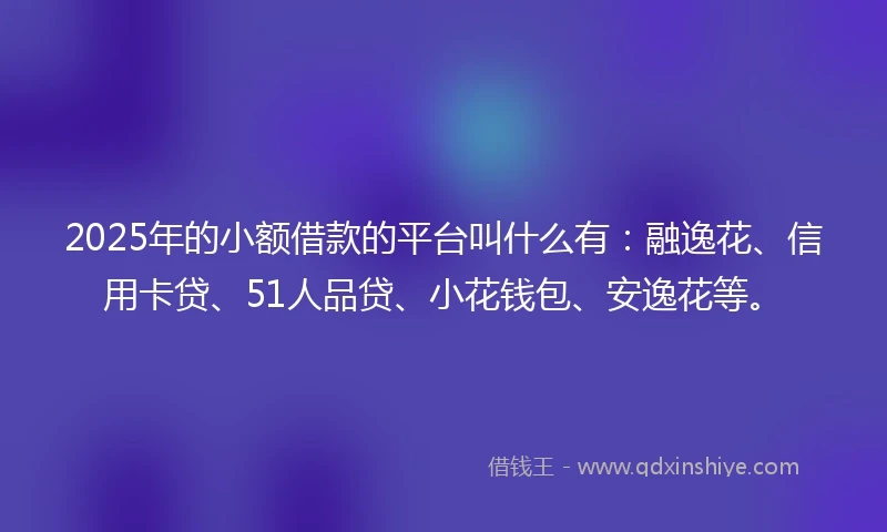2025年的小额借款的平台叫什么有：融逸花、信用卡贷、51人品贷、小花钱包、安逸花等。