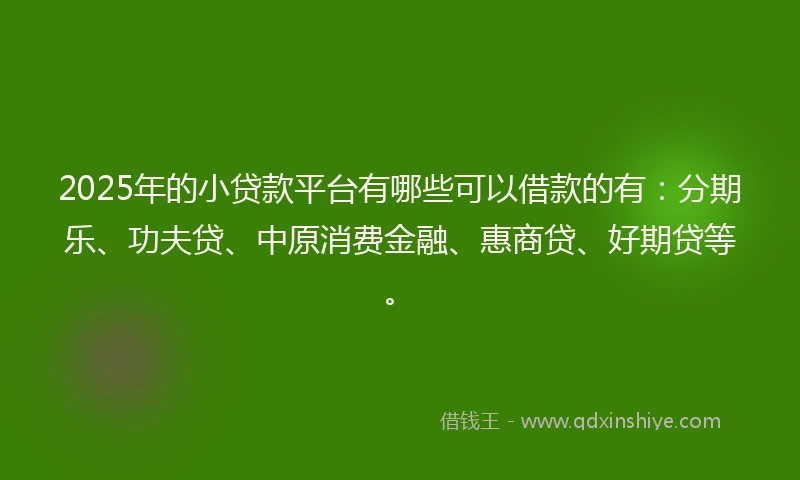2025年的小贷款平台有哪些可以借款的有：分期乐、功夫贷、中原消费金融、惠商贷、好期贷等。