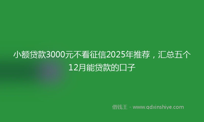 小额贷款3000元不看征信2025年推荐，汇总五个12月能贷款的口子