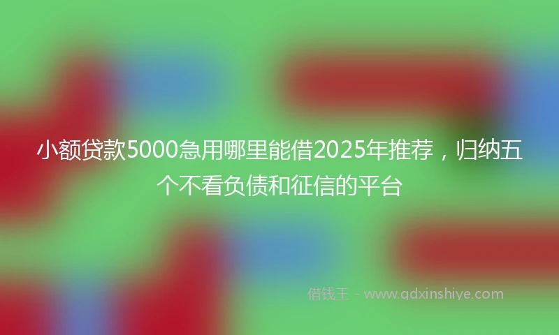 小额贷款5000急用哪里能借2025年推荐，归纳五个不看负债和征信的平台