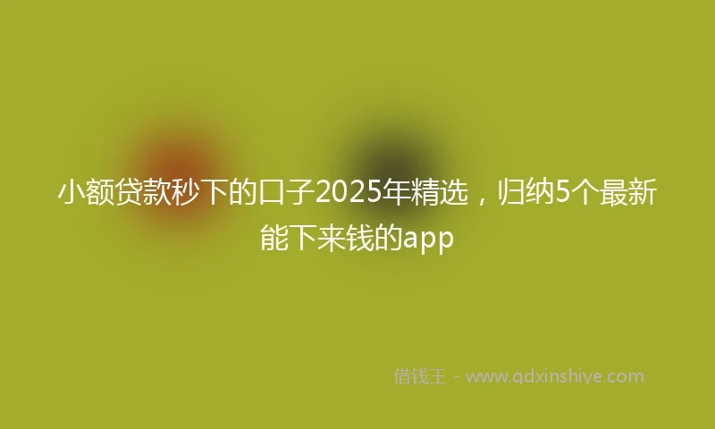 小额贷款秒下的口子2025年精选，归纳5个最新能下来钱的app