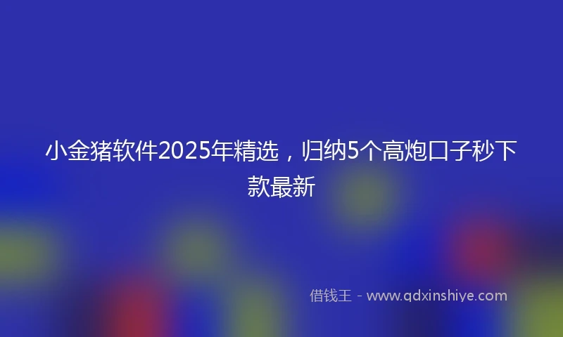 小金猪软件2025年精选，归纳5个高炮口子秒下款最新