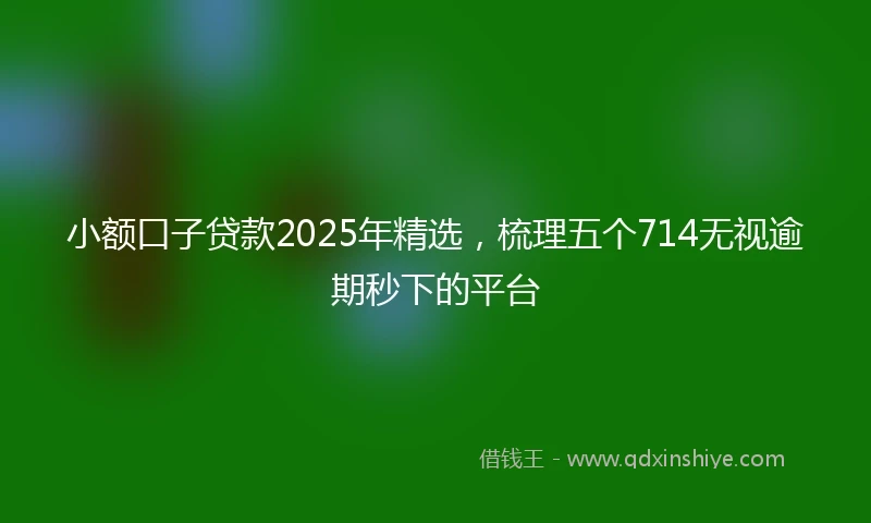 小额口子贷款2025年精选，梳理五个714无视逾期秒下的平台