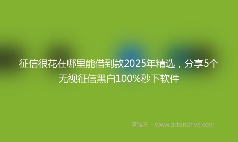 征信很花在哪里能借到款2025年精选,分享5个无视征信黑白100%秒下软件