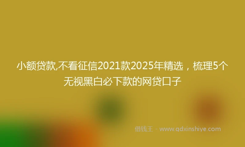 小额贷款,不看征信2021款2025年精选，梳理5个无视黑白必下款的网贷口子
