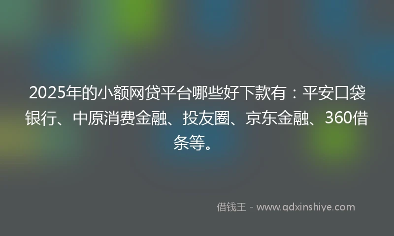 2025年的小额网贷平台哪些好下款有：平安口袋银行、中原消费金融、投友圈、京东金融、360借条等。