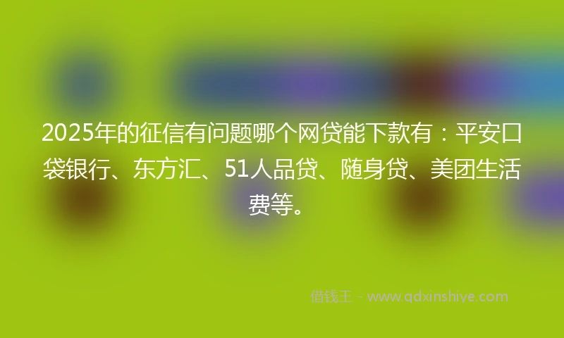2025年的征信有问题哪个网贷能下款有：平安口袋银行、东方汇、51人品贷、随身贷、美团生活费等。