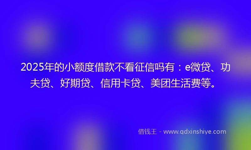 2025年的小额度借款不看征信吗有：e微贷、功夫贷、好期贷、信用卡贷、美团生活费等。