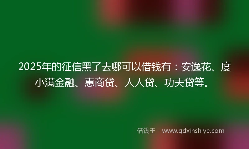 2025年的征信黑了去哪可以借钱有：安逸花、度小满金融、惠商贷、人人贷、功夫贷等。