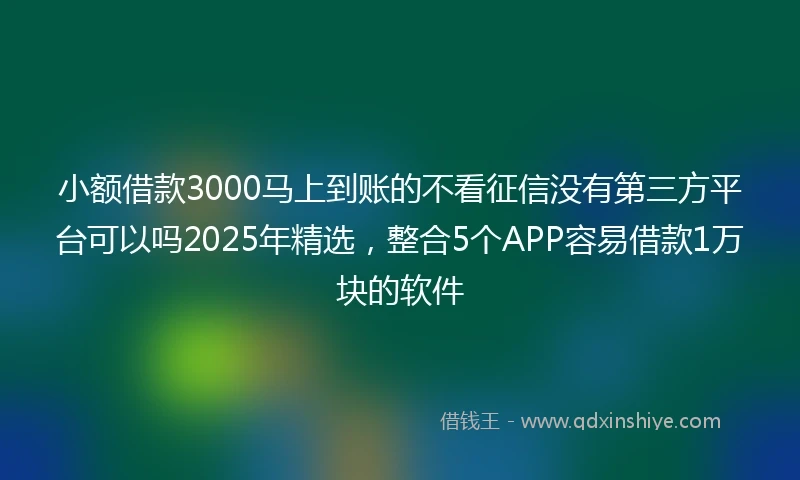 小额借款3000马上到账的不看征信没有第三方平台可以吗2025年精选，整合5个APP容易借款1万块的软件
