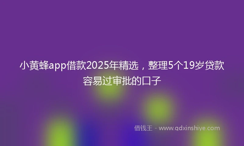 小黄蜂app借款2025年精选，整理5个19岁贷款容易过审批的口子