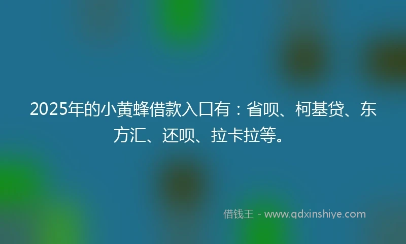 2025年的小黄蜂借款入口有：省呗、柯基贷、东方汇、还呗、拉卡拉等。