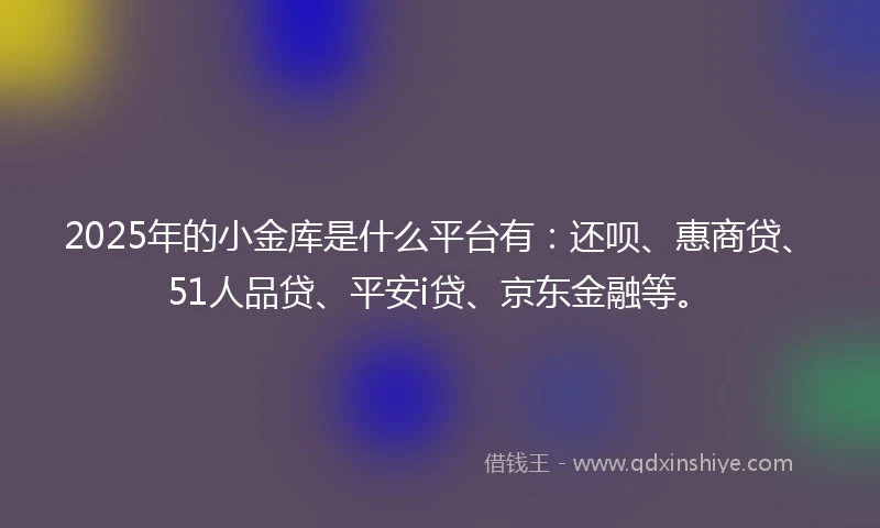 2025年的小金库是什么平台有：还呗、惠商贷、51人品贷、平安i贷、京东金融等。