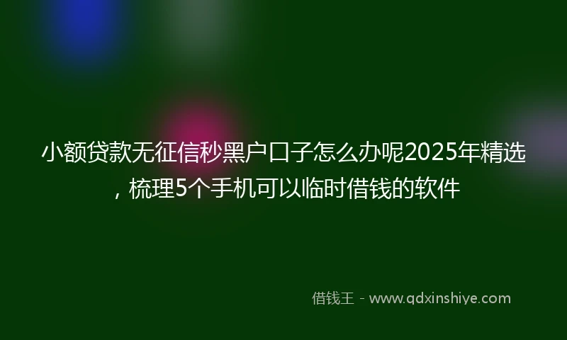 小额贷款无征信秒黑户口子怎么办呢2025年精选，梳理5个手机可以临时借钱的软件