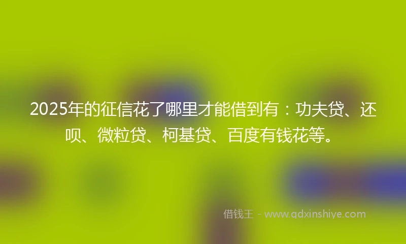 2025年的征信花了哪里才能借到有:功夫贷、还呗、微粒贷、柯基贷、百度有钱花等。