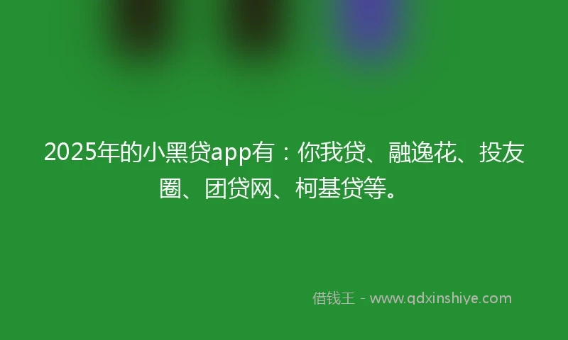 2025年的小黑贷app有：你我贷、融逸花、投友圈、团贷网、柯基贷等。
