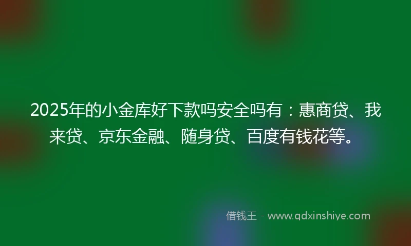 2025年的小金库好下款吗安全吗有：惠商贷、我来贷、京东金融、随身贷、百度有钱花等。