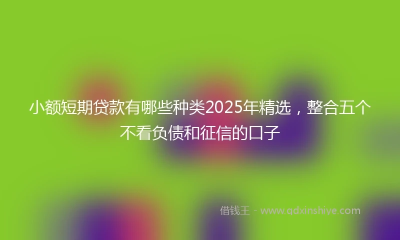 小额短期贷款有哪些种类2025年精选，整合五个不看负债和征信的口子