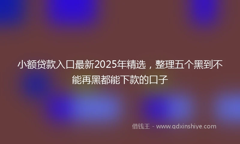 小额贷款入口最新2025年精选，整理五个黑到不能再黑都能下款的口子