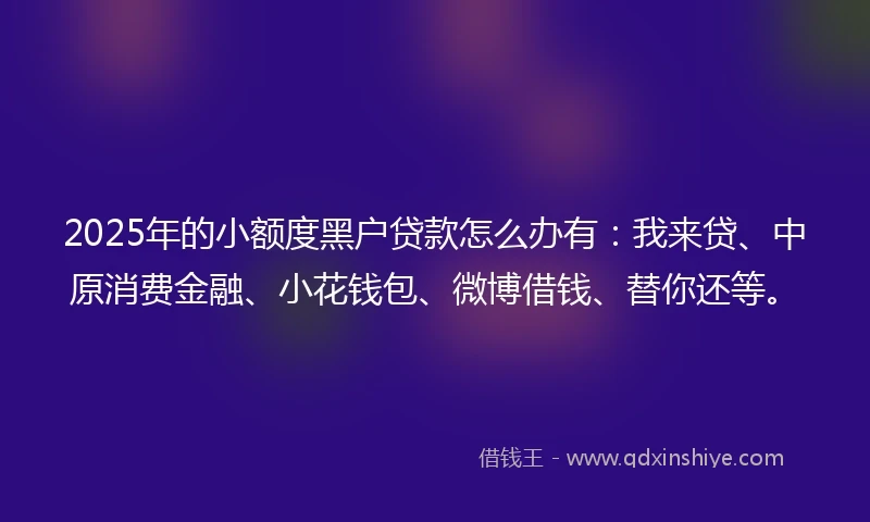 2025年的小额度黑户贷款怎么办有：我来贷、中原消费金融、小花钱包、微博借钱、替你还等。