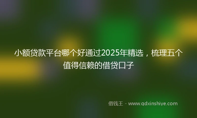 小额贷款平台哪个好通过2025年精选，梳理五个值得信赖的借贷口子