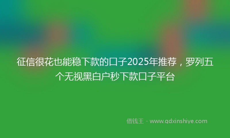 征信很花也能稳下款的口子2025年推荐，罗列五个无视黑白户秒下款口子平台
