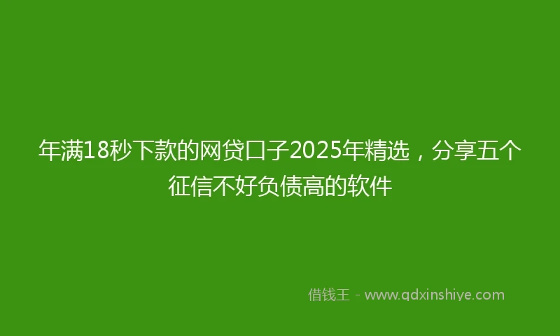 年满18秒下款的网贷口子2025年精选，分享五个征信不好负债高的软件