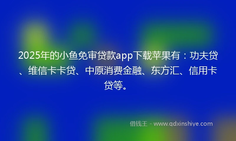 2025年的小鱼免审贷款app下载苹果有：功夫贷、维信卡卡贷、中原消费金融、东方汇、信用卡贷等。