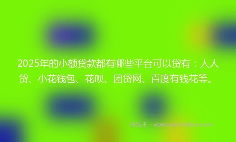 2025年的小额贷款都有哪些平台可以贷有：人人贷、小花钱包、花呗、团贷网、百度有钱花等。
