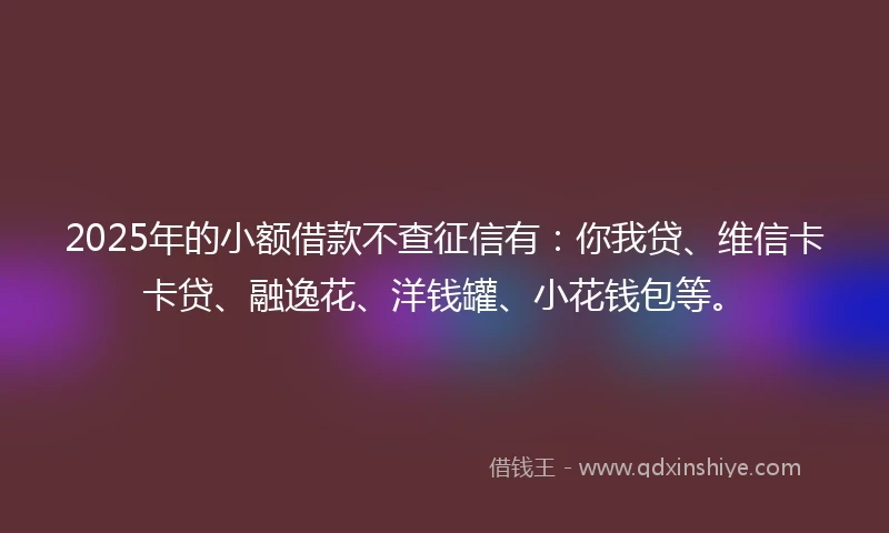 2025年的小额借款不查征信有：你我贷、维信卡卡贷、融逸花、洋钱罐、小花钱包等。