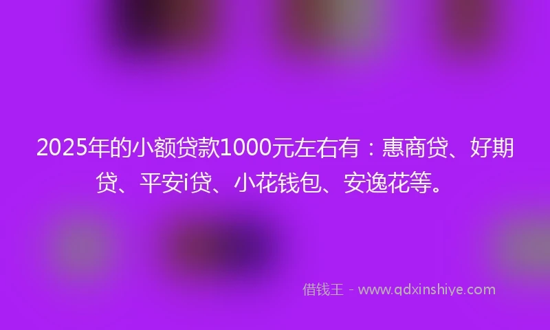 2025年的小额贷款1000元左右有：惠商贷、好期贷、平安i贷、小花钱包、安逸花等。