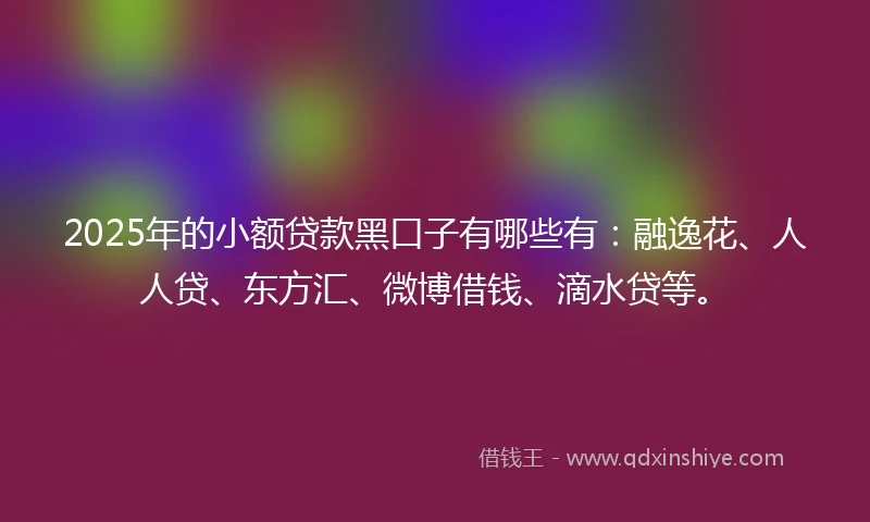 2025年的小额贷款黑口子有哪些有：融逸花、人人贷、东方汇、微博借钱、滴水贷等。