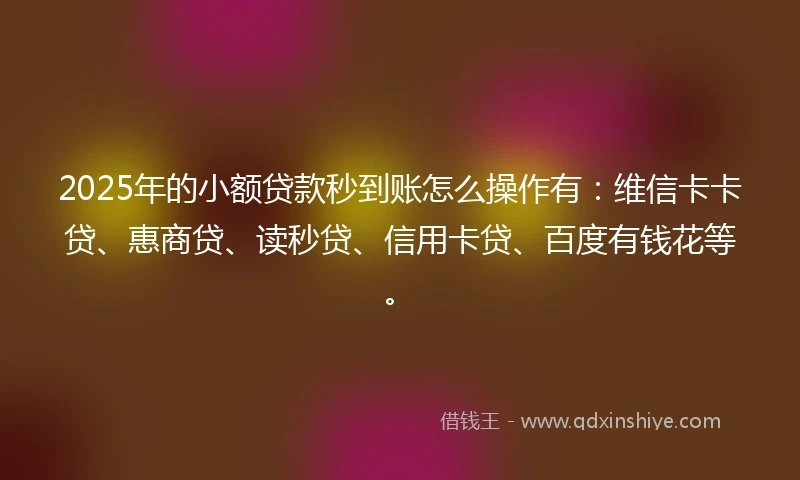 2025年的小额贷款秒到账怎么操作有：维信卡卡贷、惠商贷、读秒贷、信用卡贷、百度有钱花等。
