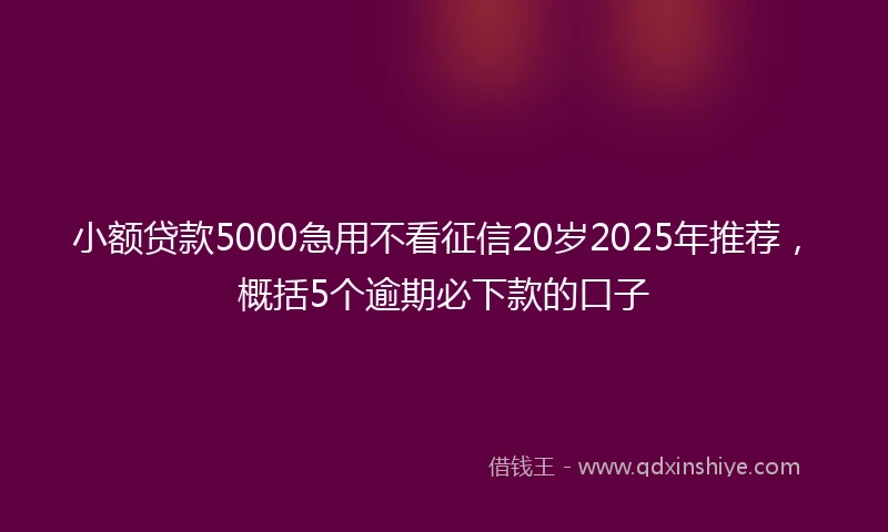 小额贷款5000急用不看征信20岁2025年推荐，概括5个逾期必下款的口子
