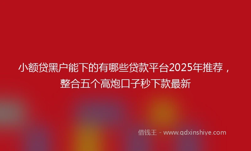 小额贷黑户能下的有哪些贷款平台2025年推荐，整合五个高炮口子秒下款最新