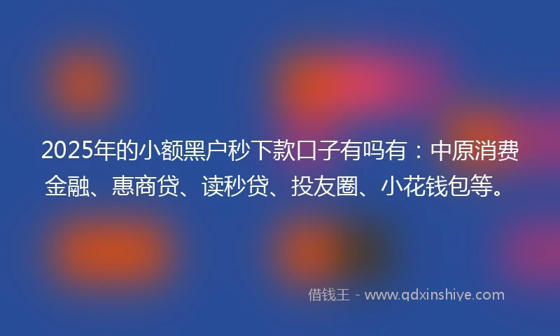 2025年的小额黑户秒下款口子有吗有：中原消费金融、惠商贷、读秒贷、投友圈、小花钱包等。