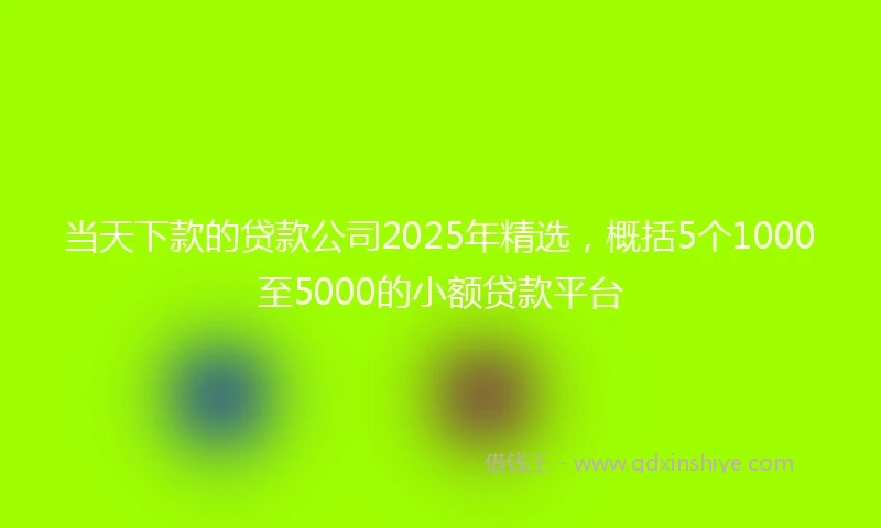 当天下款的贷款公司2025年精选，概括5个1000至5000的小额贷款平台