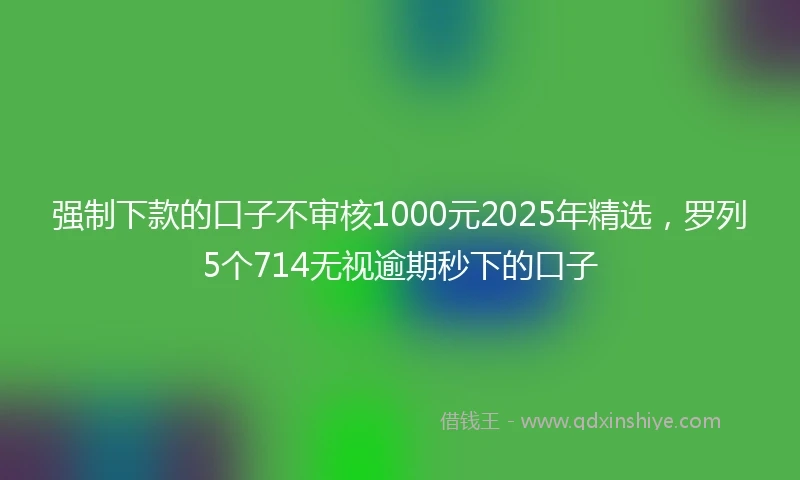 强制下款的口子不审核1000元2025年精选，罗列5个714无视逾期秒下的口子