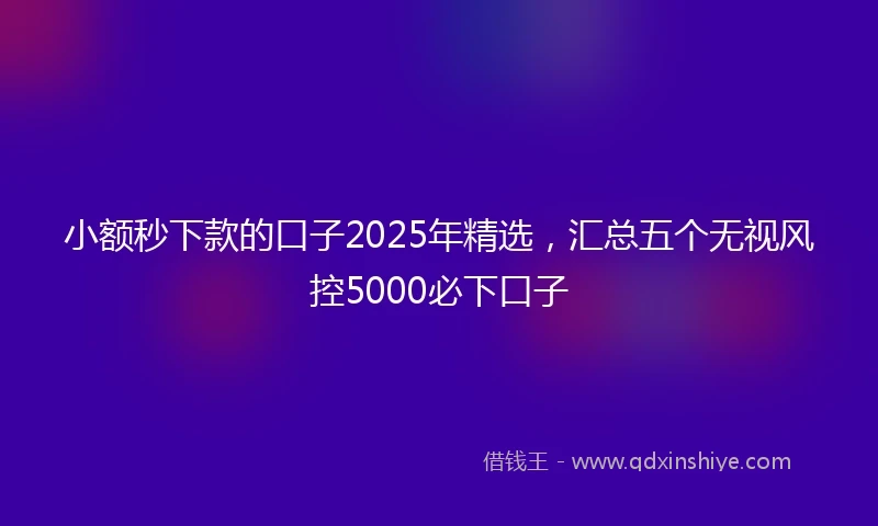 小额秒下款的口子2025年精选，汇总五个无视风控5000必下口子