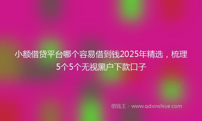 小额借贷平台哪个容易借到钱2025年精选，梳理5个5个无视黑户下款口子