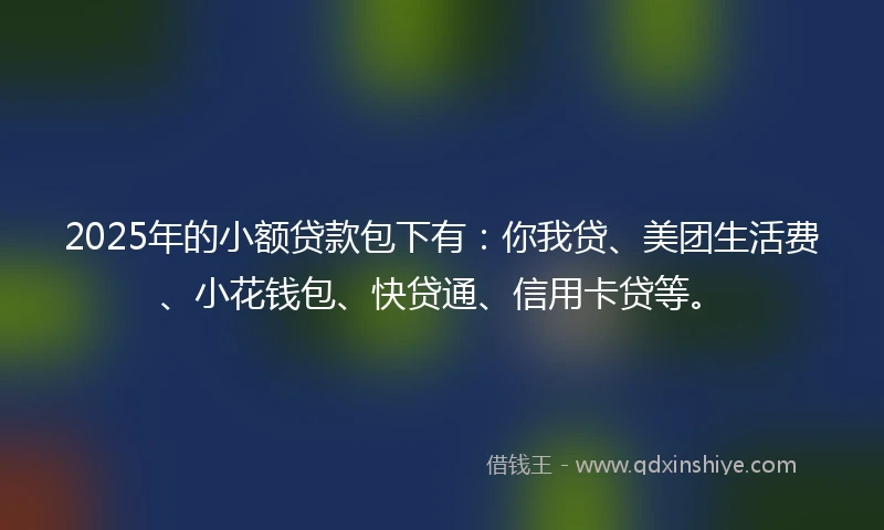 2025年的小额贷款包下有：你我贷、美团生活费、小花钱包、快贷通、信用卡贷等。