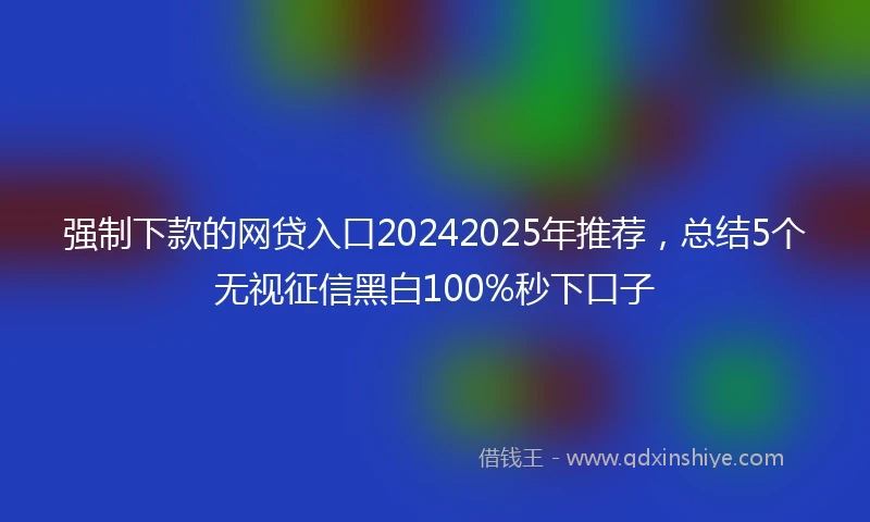 强制下款的网贷入口20242025年推荐，总结5个无视征信黑白100%秒下口子
