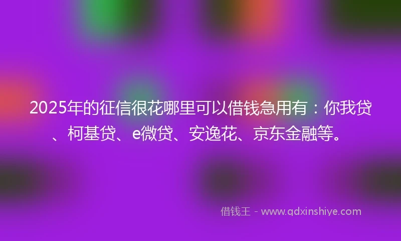 2025年的征信很花哪里可以借钱急用有:你我贷、柯基贷、e微贷、安逸花、京东金融等。