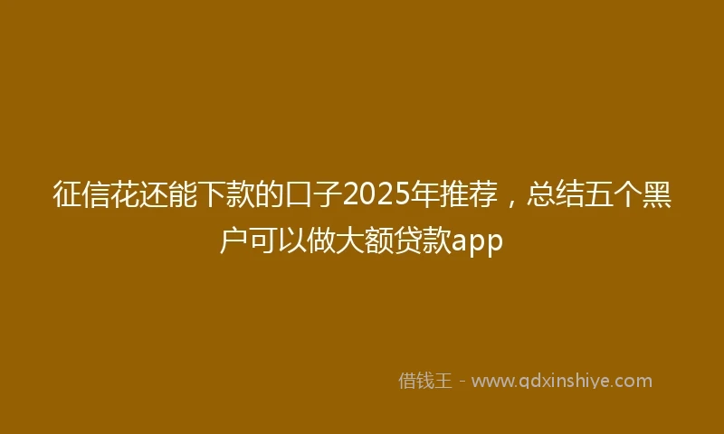 征信花还能下款的口子2025年推荐，总结五个黑户可以做大额贷款app