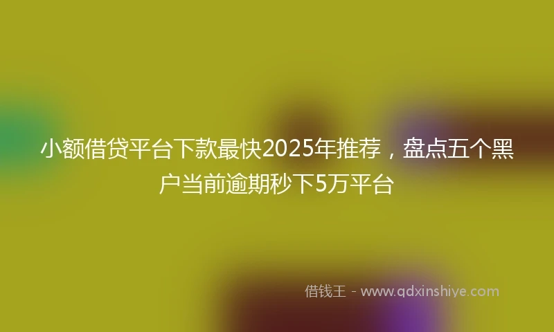 小额借贷平台下款最快2025年推荐，盘点五个黑户当前逾期秒下5万平台