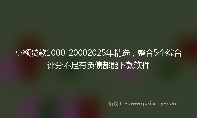 小额贷款1000-20002025年精选，整合5个综合评分不足有负债都能下款软件