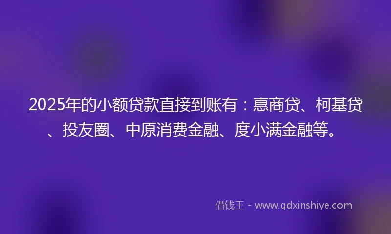 2025年的小额贷款直接到账有：惠商贷、柯基贷、投友圈、中原消费金融、度小满金融等。